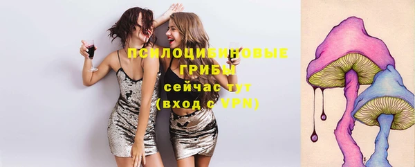 сатива Волоколамск
