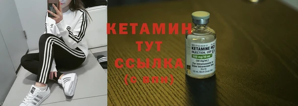 гидра Тавда