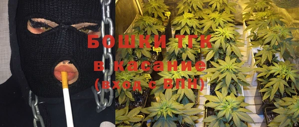 трава Вязьма